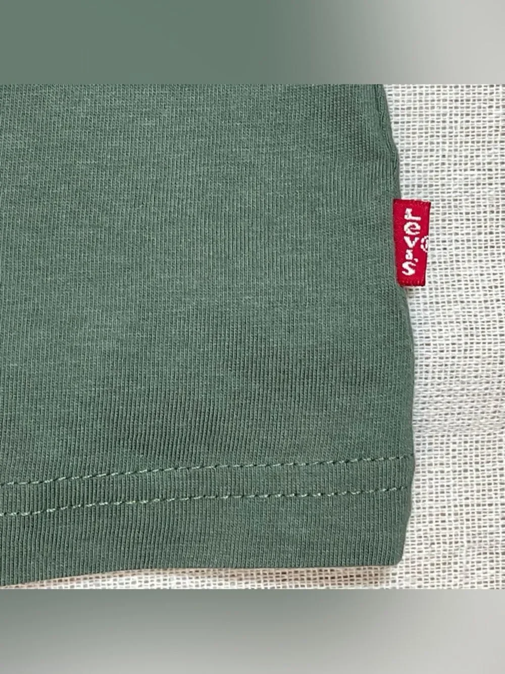 Levi's | NWOT Green Wild Alaska Bear Graphic Relaxed Tee | L